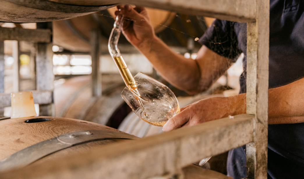 Testing wine from a barrel